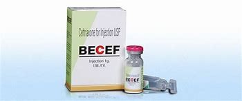 Becef 250mg Injection