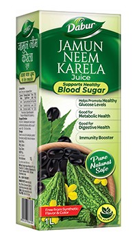 Dabur Jamun Neem Karela Ayurvedic Juice