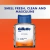 Gillette Pro Icy Cool After Shave Splash Lotion, 100 ml